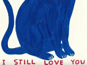 David Shrigley - Old Cat