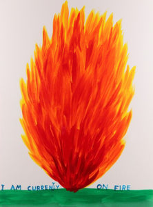 David Shrigley - I Am Currently On Fire