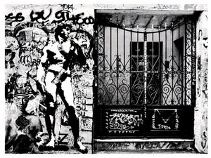 Blek Le Rat, Shepard Fairy, Sybille Prou - David