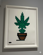 Load image into Gallery viewer, Invader - Hollyweed Brown Pot
