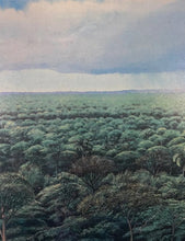Load image into Gallery viewer, Tomás Sánchez - Untitled
