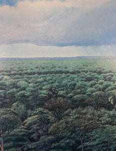 Tomás Sánchez - Untitled
