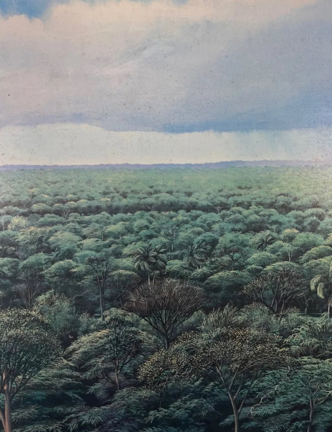 Tomás Sánchez - Untitled