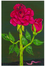 Load image into Gallery viewer, Nikki Maloof - Rose

