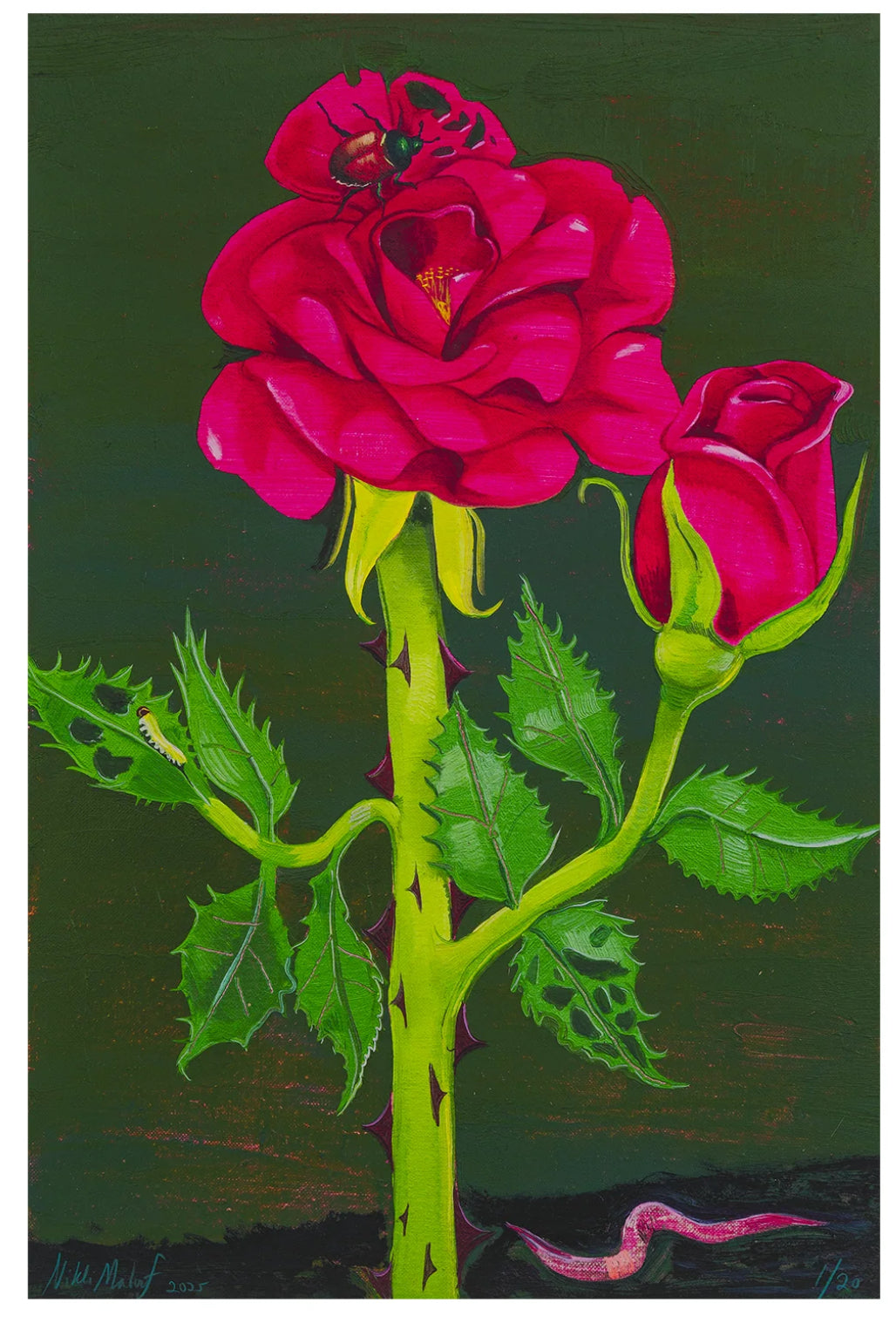 Nikki Maloof - Rose