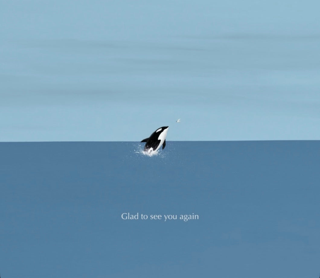 Suntur - Glad to see you Again (Whale)