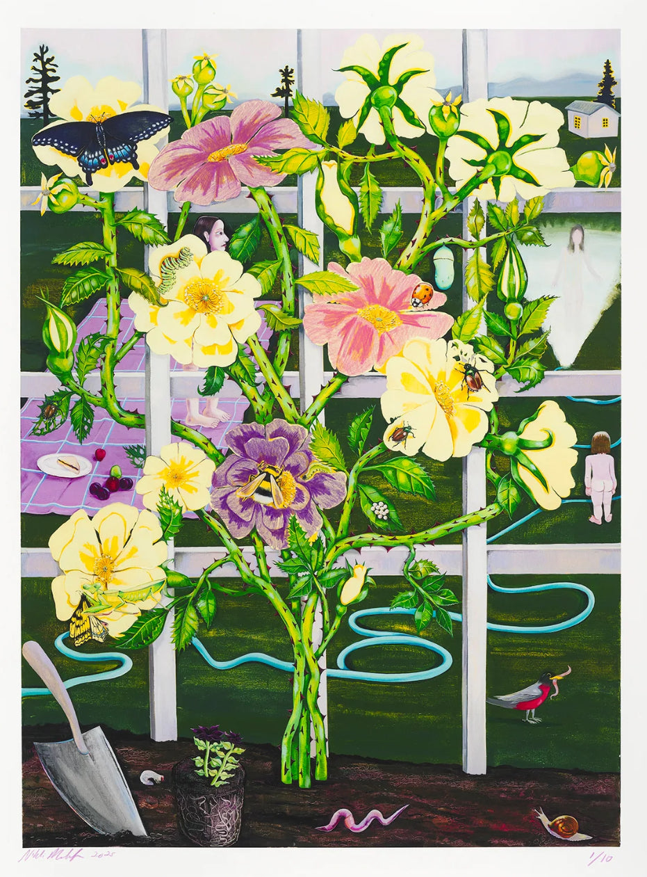 Nikki Maloof - Climbing Rose