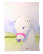 Load image into Gallery viewer, Angling - Domestic Silence

