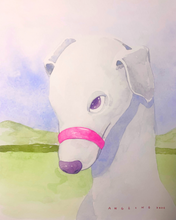 Load image into Gallery viewer, Angling - Domestic Silence
