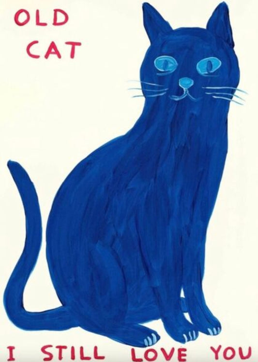 David Shrigley - Old Cat