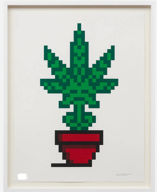 Invader - Hollyweed (Red)