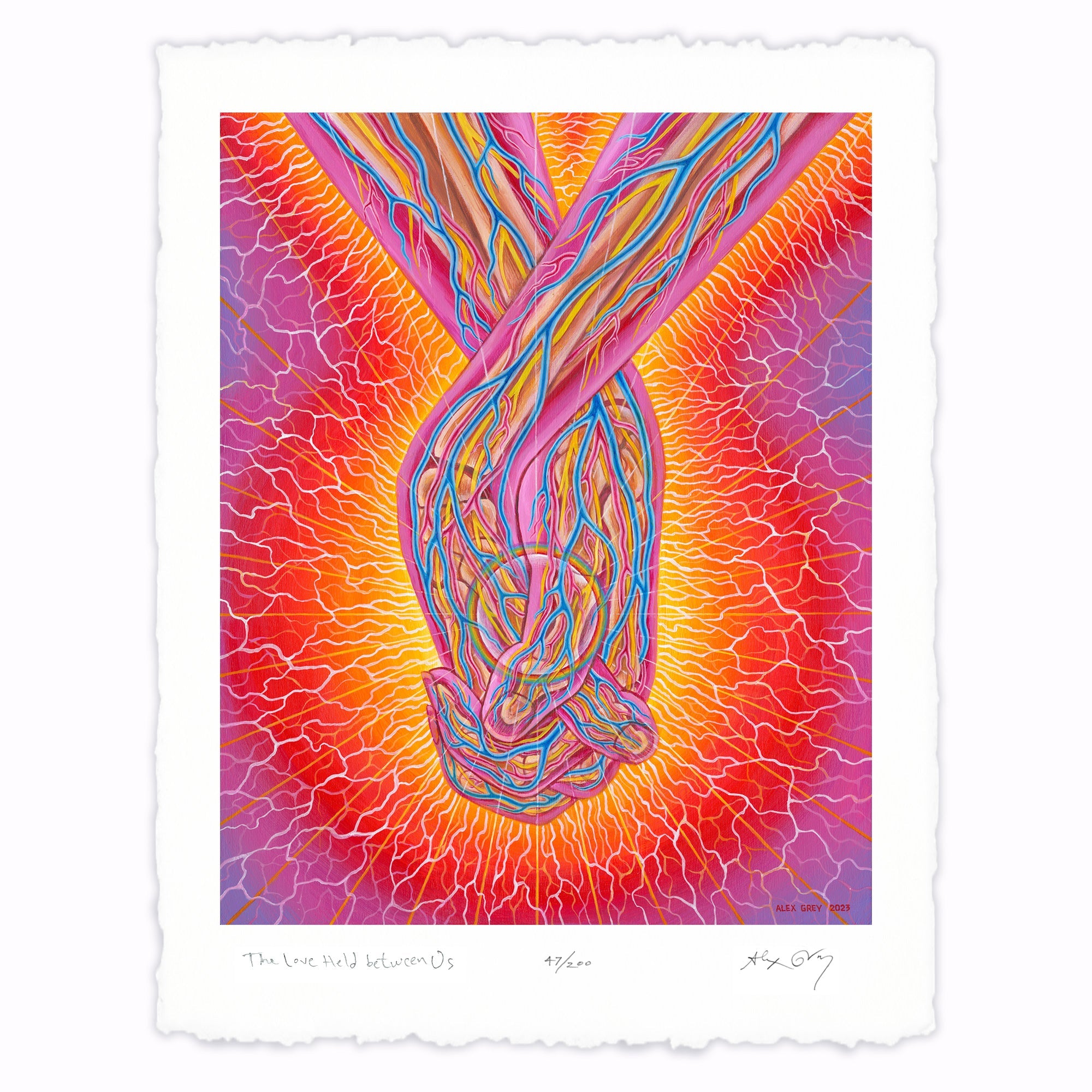 Alex Grey - The Love Held Between Us – Toyol Toys