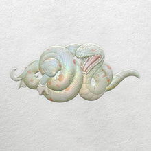 Load image into Gallery viewer, James Jean - Coil : Year Of The Snake
