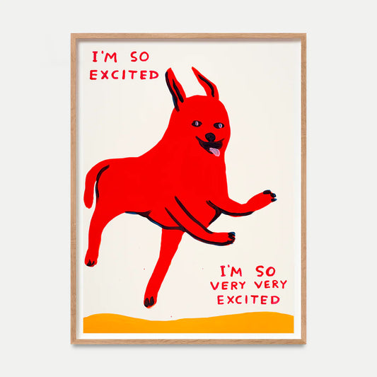 David Shrigley - I’m so Excited