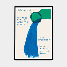 Load image into Gallery viewer, David Shrigley - Aquarius
