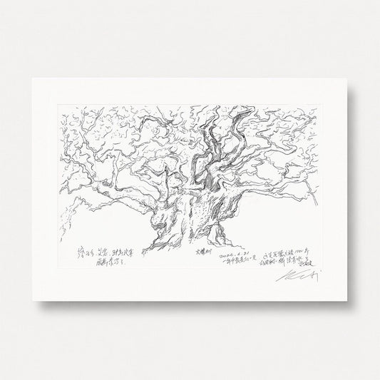 Ai Weiwei - A Tree