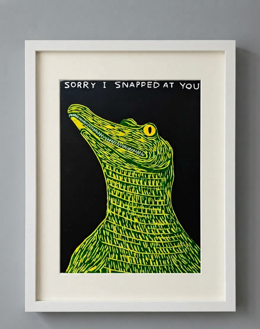 David Shrigley - Sorry I Snapped at You (Alligator) – Toyol Toys