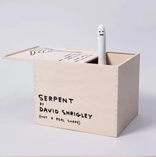 Load image into Gallery viewer, David Shrigley - Serpent
